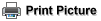 Click for Print View